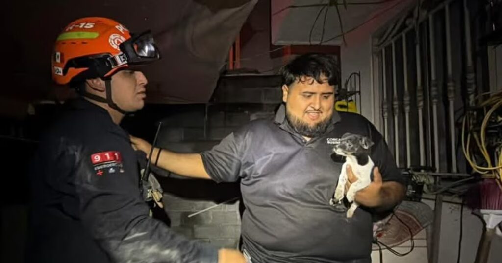Perrito salvado tras explosiones de pirotecnia en Pesquería, Nuevo León