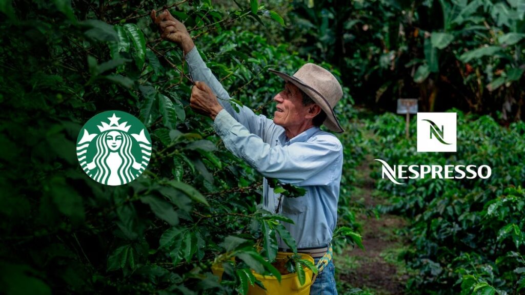 Productores de café premium en Colombia enfrentan la extorsión del crimen organizado en Nariño y Cauca