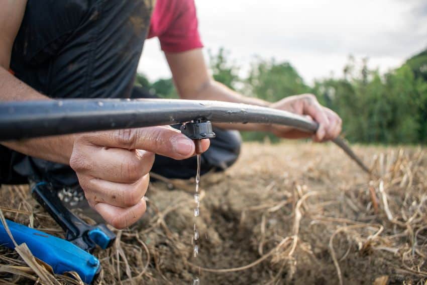 ¿El sector agrícola de México enfrenta una crisis hídrica?