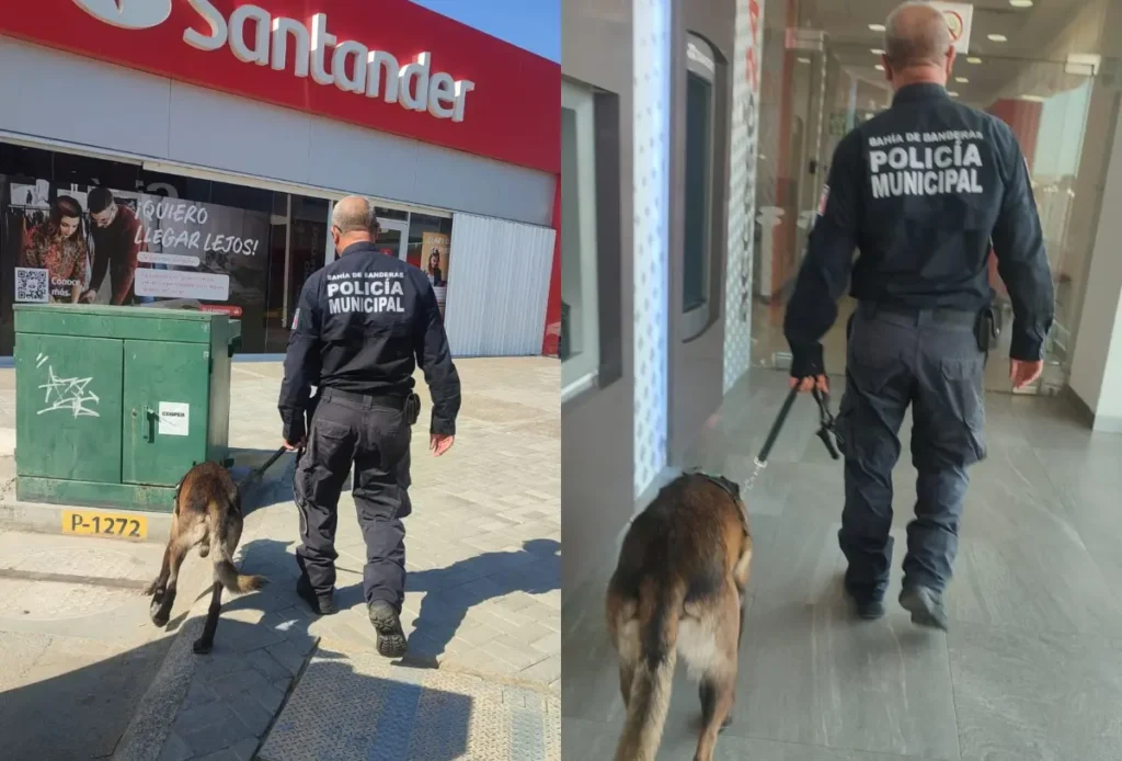 Aumentan la seguridad con perros guías en bancos y centros comerciales de Bahía de Banderas