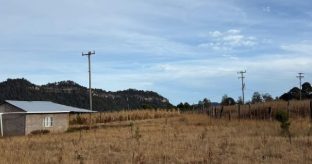 CFE impulsa proyectos de electrificación en zonas rurales de Chihuahua
