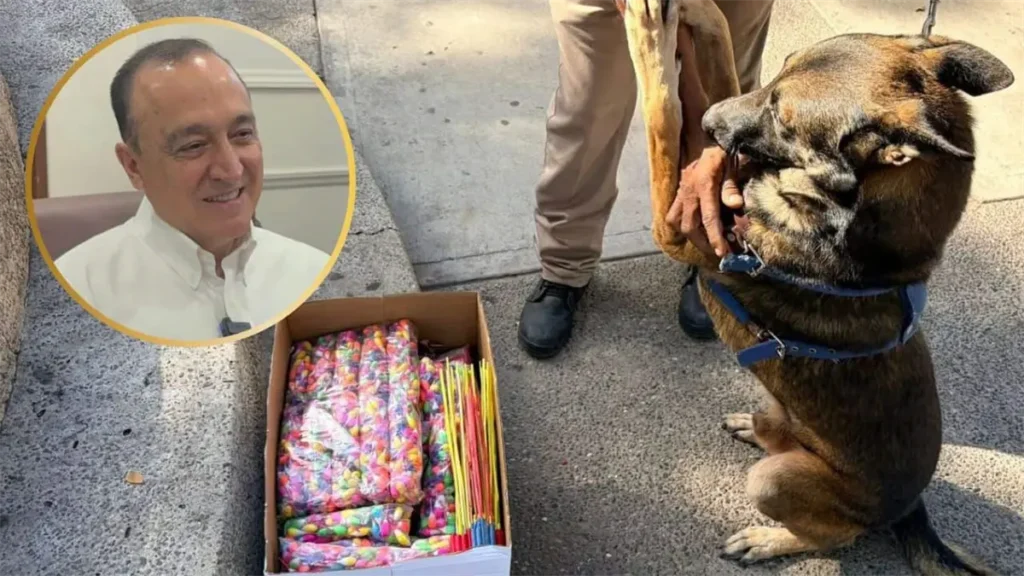 Cierran negocios en Los Mochis por comercializar pirotecnia ilegalmente