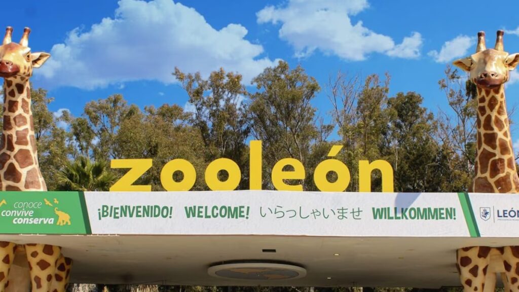Cierre temporal del Zoológico de León por denuncias de maltrato animal