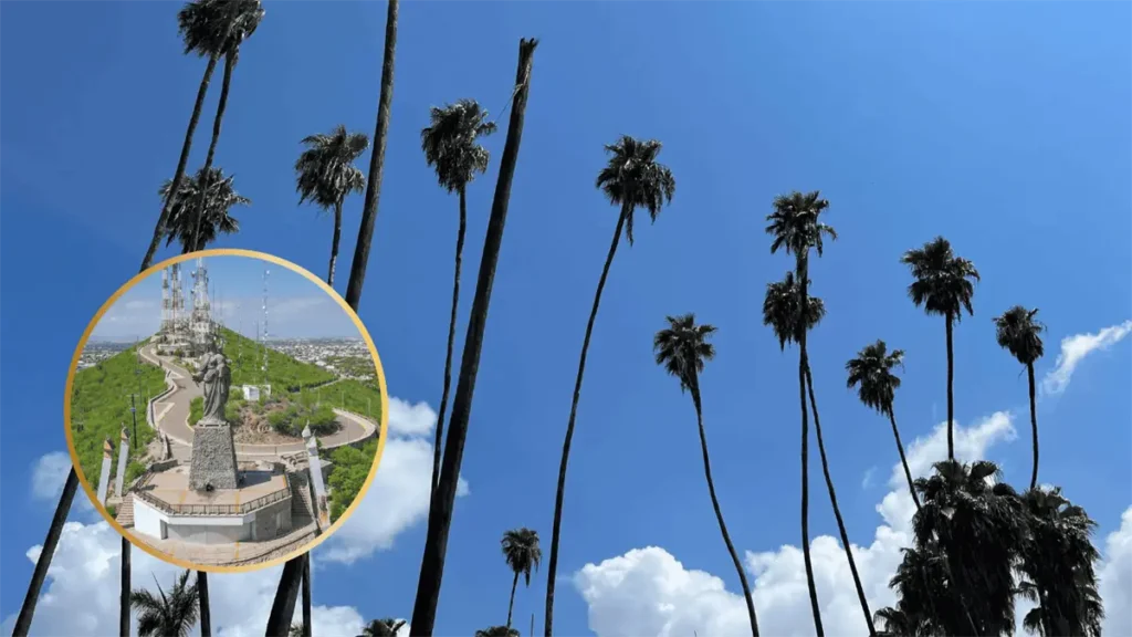 Clima en Los Mochis para el jueves 18 de diciembre: Pronóstico de calor y cielos despejados