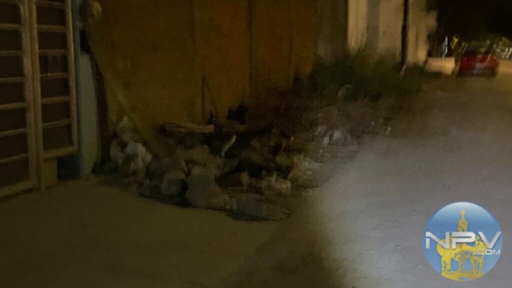 Continúan acumulándose hojas secas en las aceras de Puerto Vallarta