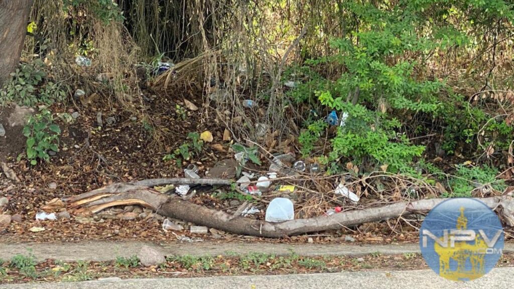 Crecen los vertederos ilegales en Puerto Vallarta