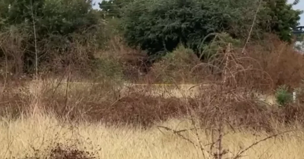 Descubren el cuerpo de un hombre acribillado en Culiacancito, Culiacán