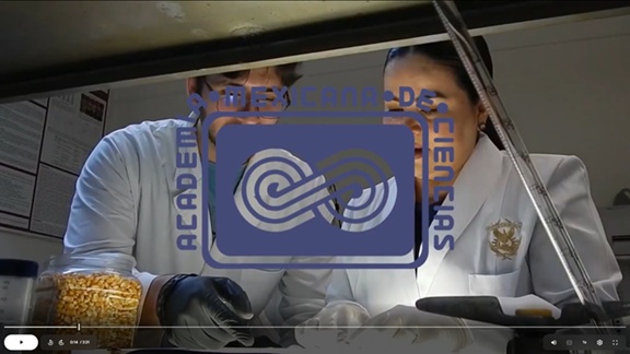 Dos académicos de la UAS se suman a la Academia Mexicana de Ciencias