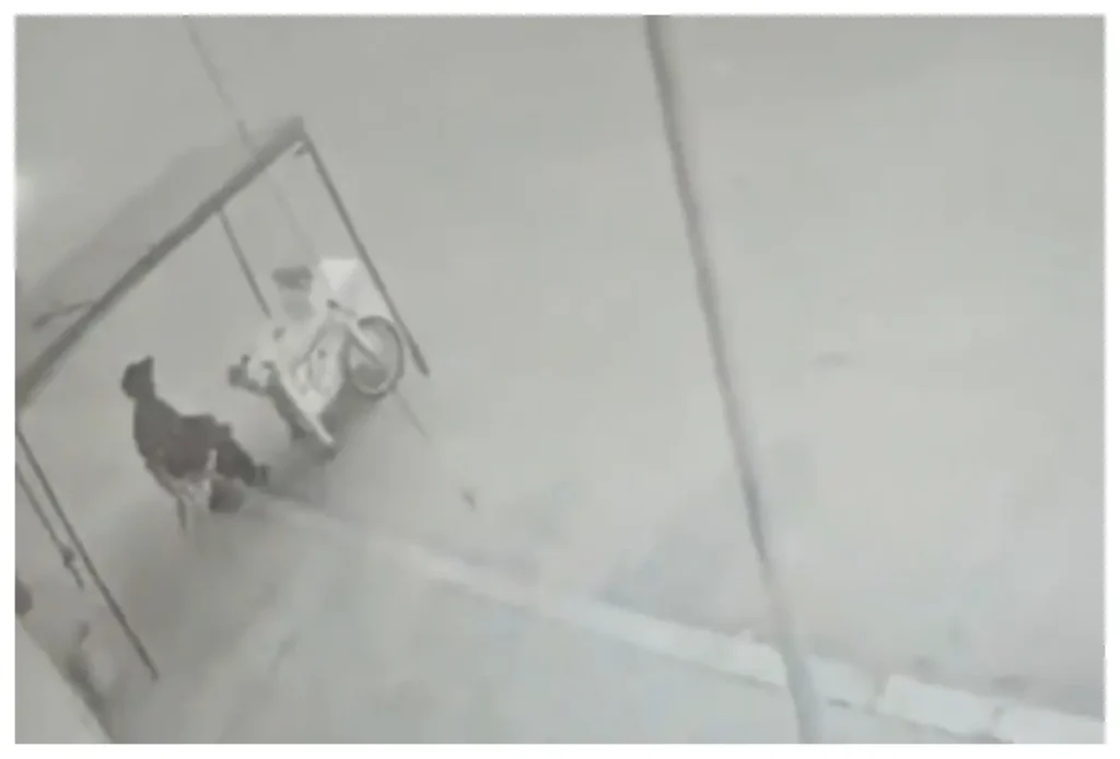 Fallece anciano que vendía tacos tras ser atropellado por un joven presuntamente ebrio en Tijuana