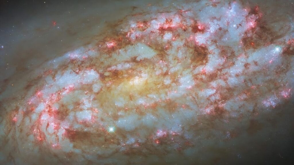 Hubble nos sorprende con una impactante imagen de la galaxia NGC 1792, un bullicioso centro de formación de estrellas.