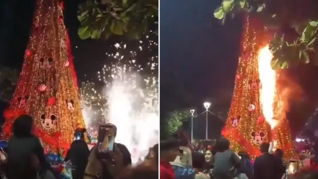 Incendio de árbol durante encendido navideño en Bahía de Banderas, Nayarit | VIDEO