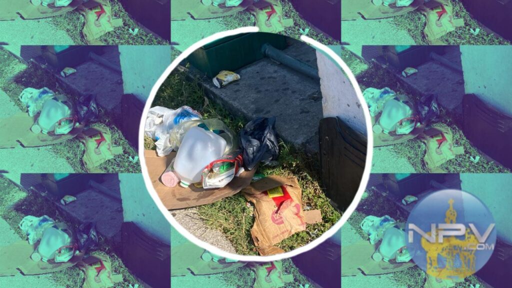 Incremento del turismo y su impacto en la generación de basura en la zona hotelera de Puerto Vallarta