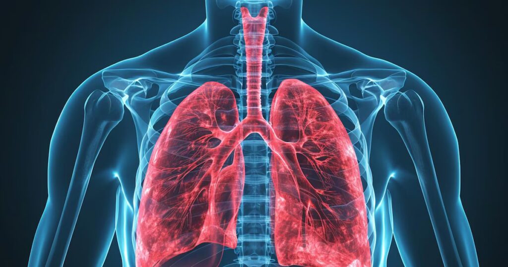 Jarabe casero de cebolla y ajo: guía para aliviar la tos de forma natural