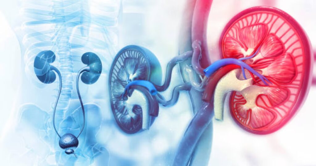 La bebida natural esencial para proteger tus vías urinarias en invierno