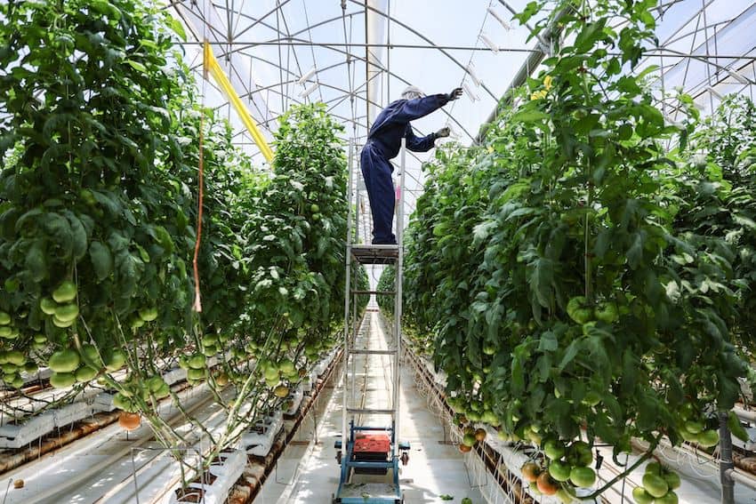 La economía mexicana toma un nuevo rumbo y crece un 1% en octubre