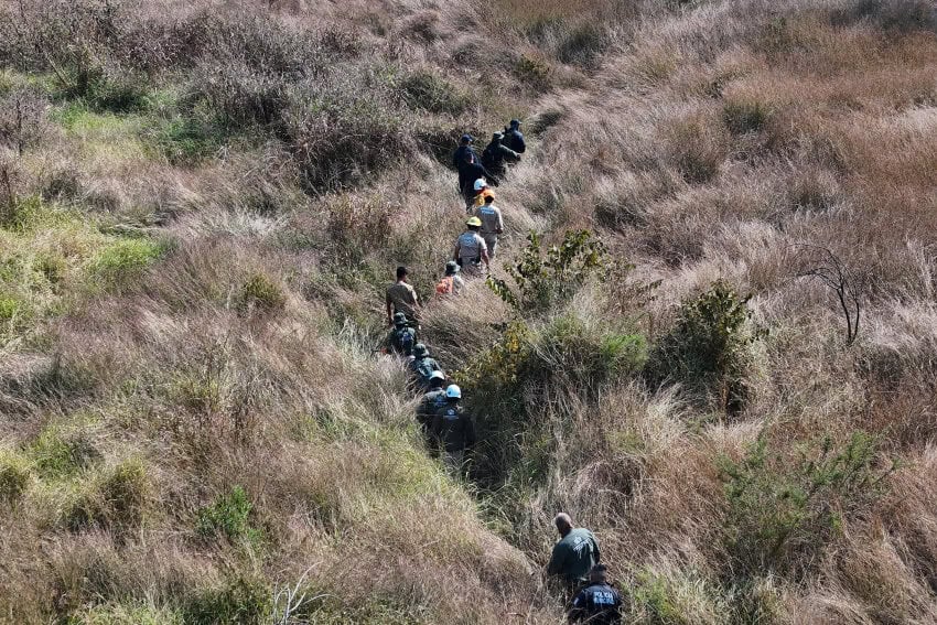 Leyendo la Tierra: Cómo los científicos mexicanos utilizan plantas, insectos y suelo para desvelar los desaparecidos