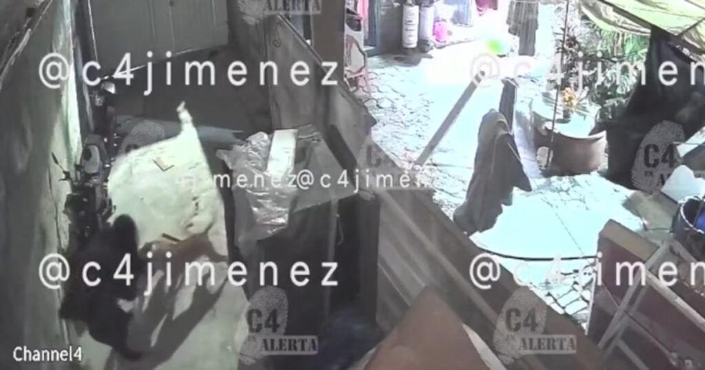 Mujer sufre ataque feroz de tres perros pitbull en Tláhuac; propietarios se niegan a asumir responsabilidad