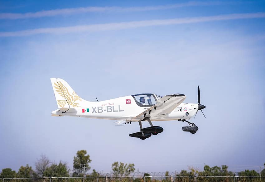 Planes, pirámides y delfines bebé: Las historias más leídas de MND en 2025