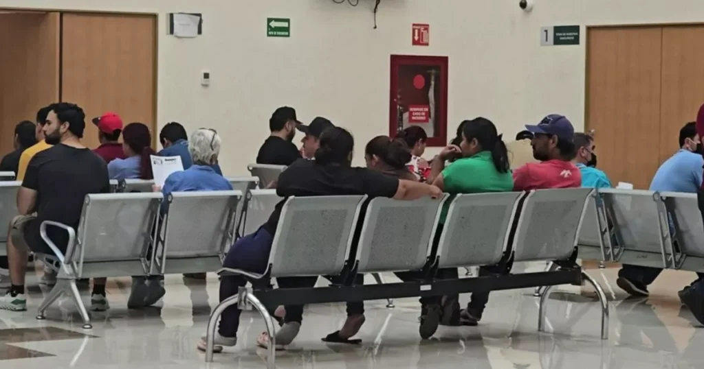 Rickettsia: Aumento preocupante de casos que ya han cobrado 18 vidas en Sinaloa este año