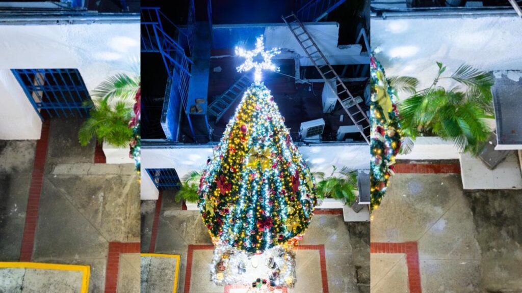 SEAPAL Vallarta celebra el encendido navideño junto a su equipo y sus familias