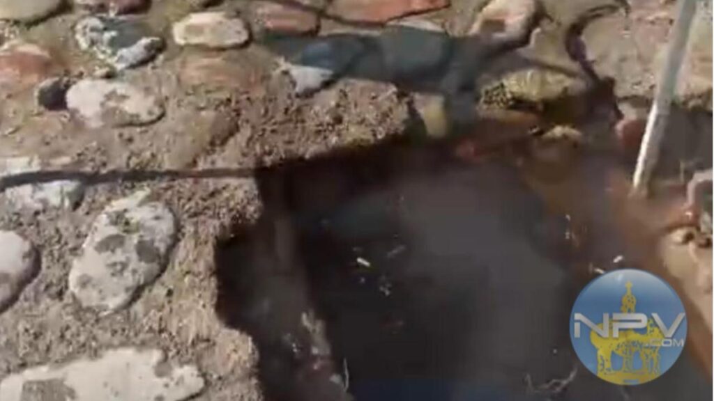 Seapal identifica fuga que genera olores desagradables en Villa de Guadalupe