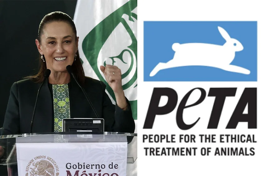 Sheinbaum reconocida como Persona del Año de PETA Latino por su compromiso con el bienestar animal