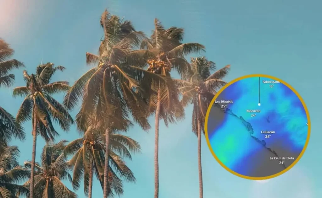 Sinaloa enfrentará un calor inusual post-Navidad con temperaturas récord y fuertes vientos