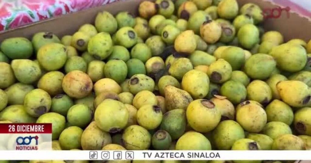 VIDEO| Delicias tradicionales que alegran las celebraciones decembrinas en Mazatlán