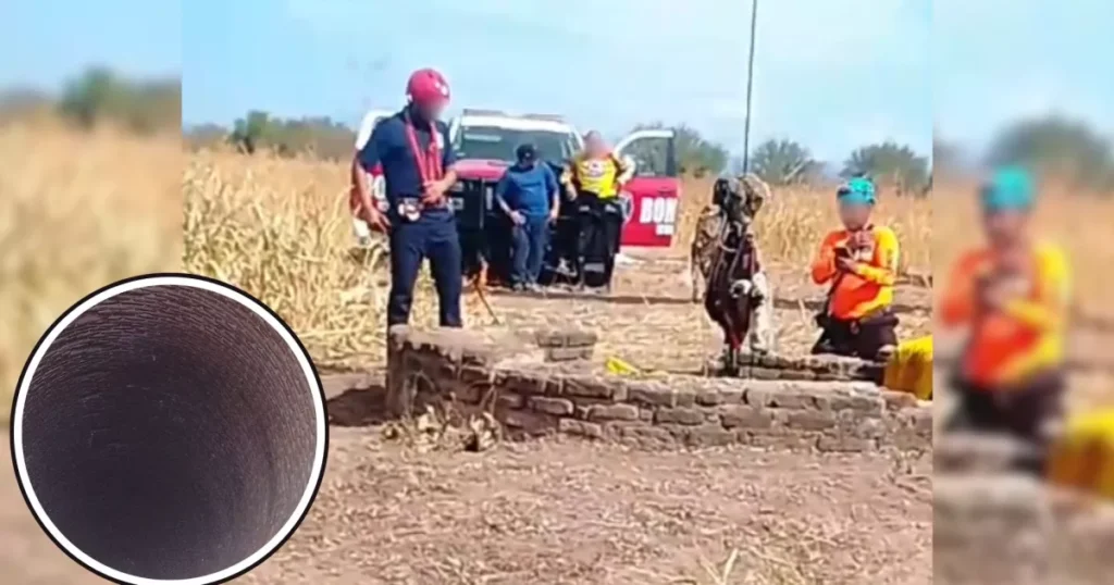 VIDEO: ¡Descubren restos humanos cerca de Tamazula II, Salvador Alvarado, ¡misterio en la noria!