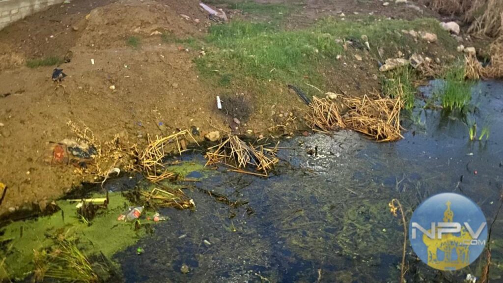 Vecinos alertan sobre la contaminación y olores desagradables por agua estancada en terreno abandonado de la avenida Francisco Medina