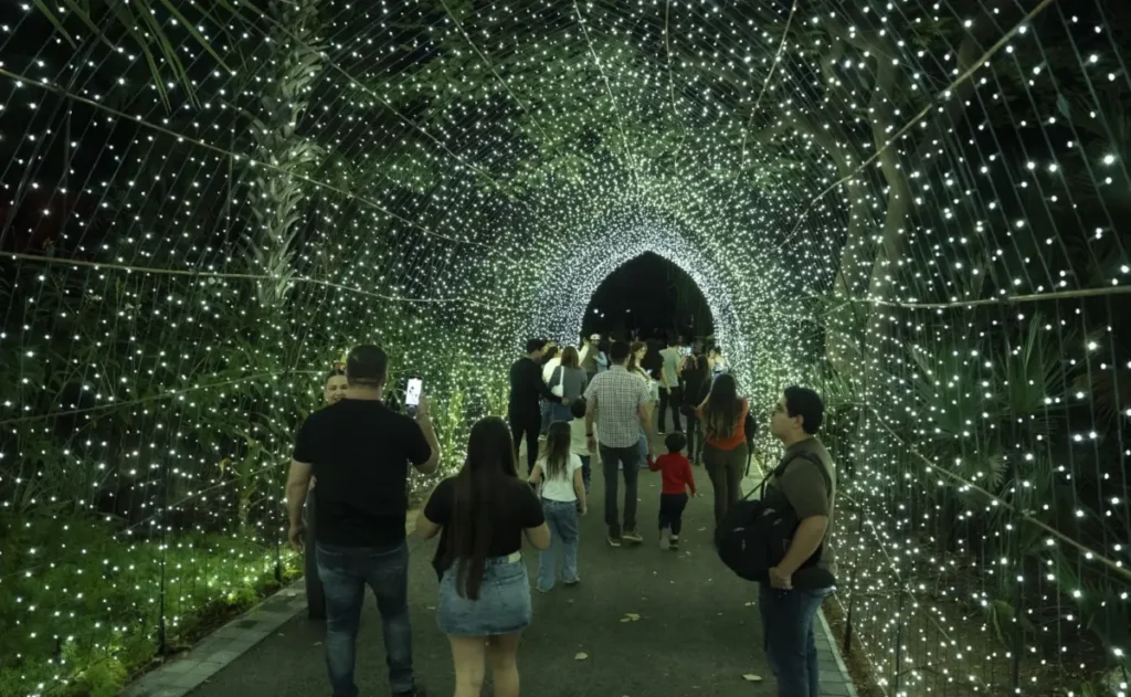 Vive la Navidad con magia, luces y melodías en el Jardín Botánico de Culiacán