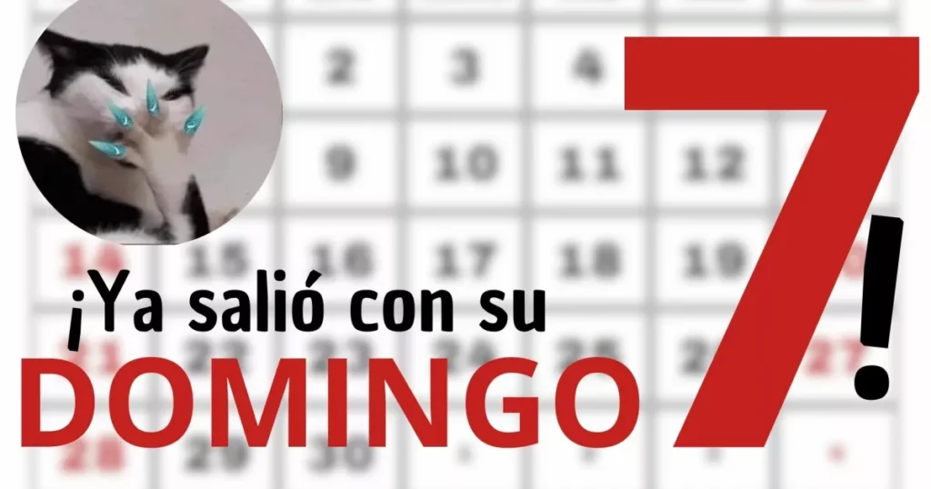¡Descubre el significado y el origen de la expresión "salir con su domingo siete"!