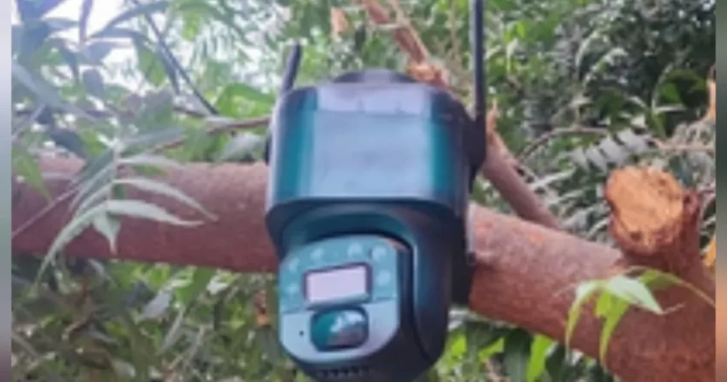 ¡Descubren una cámara solar oculta en un árbol en El Bledal, Navolato!