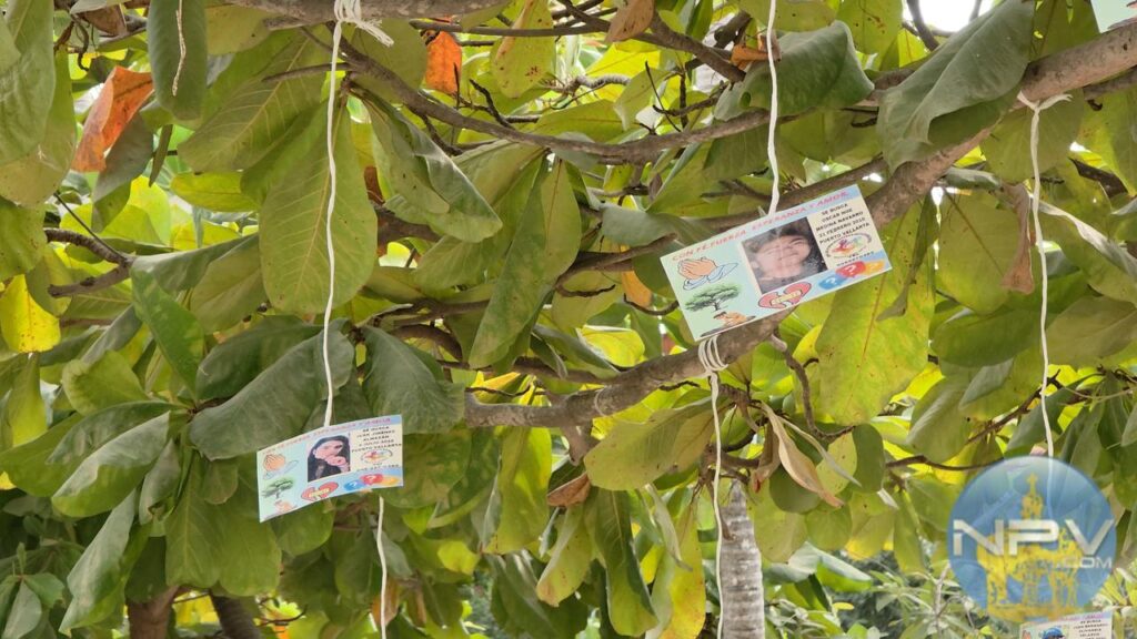 ¡Iluminemos la memoria!: Piden luz para el memorial de desaparecidos en la plaza de Ixtapa