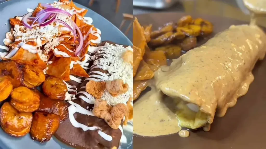 ¿Has probado la omelette de pulpo? Descubre este platillo exótico en un restaurante de Mazatlán.