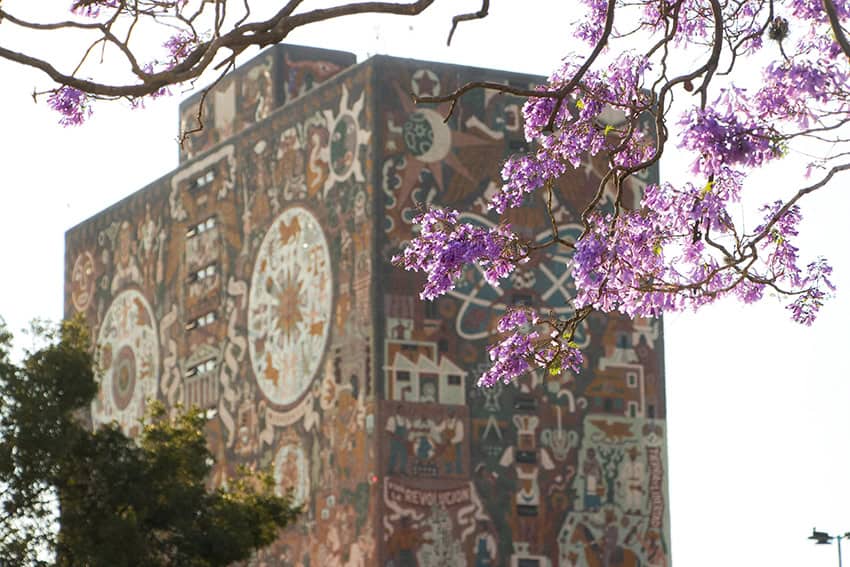 Semana en México: Inician oficialmente las conversaciones del T-MEC mientras Sheinbaum apuesta por la economía digital