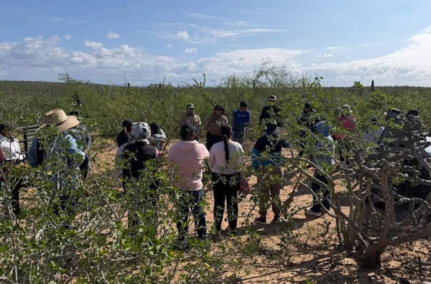 Una llamada anónima descubre cinco tumbas clandestinas en Baja California Sur